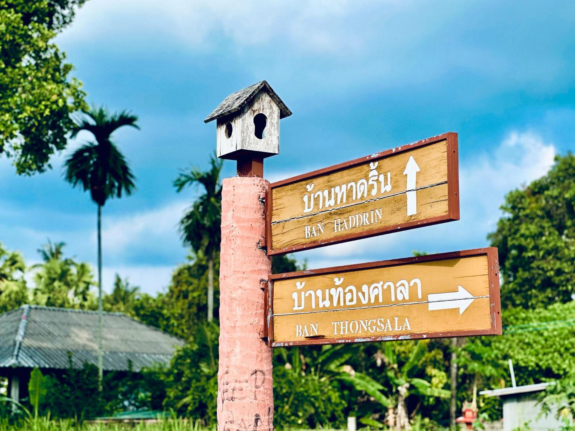 Dreamville Koh Phangan Thong Sala Eksteriør billede